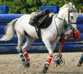 Fabio in presa acrobatica mentre gioca a Horse Ball