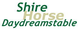 titolo: shire horse daydreamstable